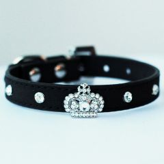 Hundhalsband | Katthalsband | Mini King Black Velvet | för en liten Hund och Katt, DiivaDog