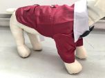 Party Devil Jacket Mörkröd | Storlekar: S-L