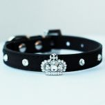 Hundhalsband | Katthalsband | Mini King Black Velvet | för en liten Hund och Katt, DiivaDog