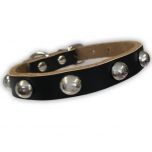 Hundhalsband Svart Läder Med Nit | Nithalsband för Liten Hund