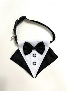 Gentleman-Halsband Party Style | Även för stora hundar | Storlekar: M-L