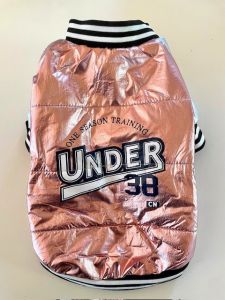 Metallic Jacket Under 38 | Storlekar: M-XL
