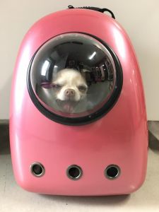 Transportryggsäck för hund | RosePink