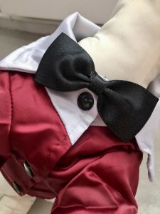 Party Devil Jacket Mörkröd | Storlekar: S-L