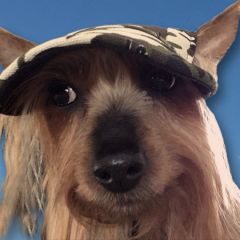 Hundkeps Camo Green | Hundkeps till Små Hundar
