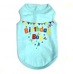 Ärmlös skjorta Birthday Boy | Turquoise | Storlekar: XS-XL