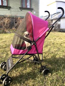 Hopfällbara husdjursvagnar | Pink