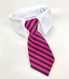 Hund och katt slips med halsband | Pink rand