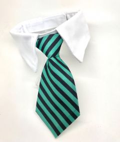 Hund och katt slips med halsband | Grön Stripe