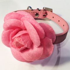 Hundhalsband Rosé Rose | Party-Halsband för liten hund och katt