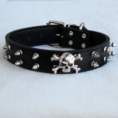 Hundhalsband MC MurrDinos | Övertygande Skull Collar för alla tillfällen, DiivaDog