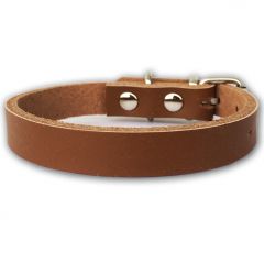 Hundhalsband Läder | Katthalsband | Valphalsband Leather Brown Minimalistic