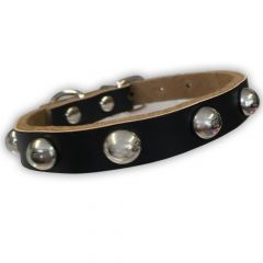 Hundhalsband Svart Läder Med Nit | Nithalsband för Liten Hund