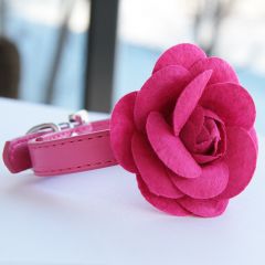 Hundens Halsband Pink Rose, Halsband för en liten Hund och Katt, DiivaDog