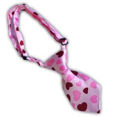 Slips till Hund eller Katt CharmerBoy | Hundaccessoarer Diivadog.se