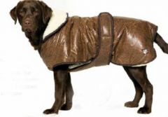 Hundens Vinterjacka Waggles Pilot Jacket | DiivaDog.com