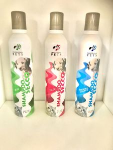 Torrschampo för hundar och katter | Pets Professional